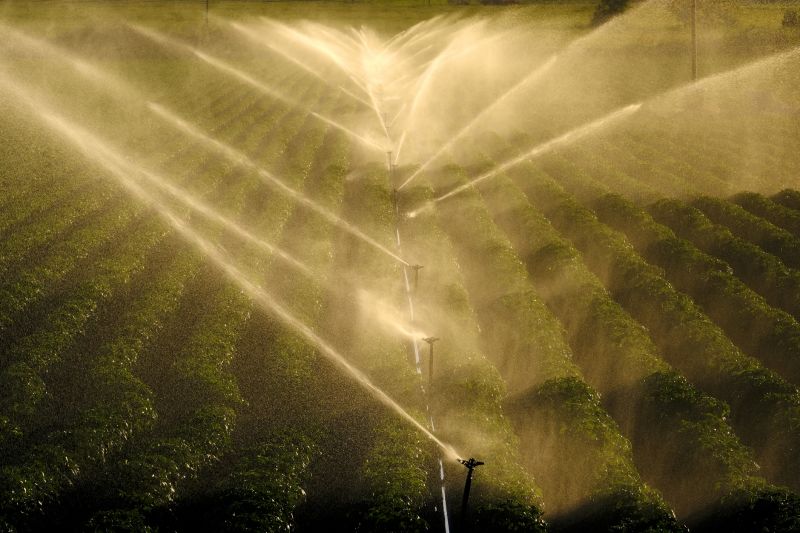 Commercial Irrigation Service in Ventura County, CA