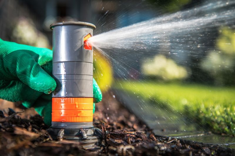 Sprinkler System Relocation in Aiken, SC