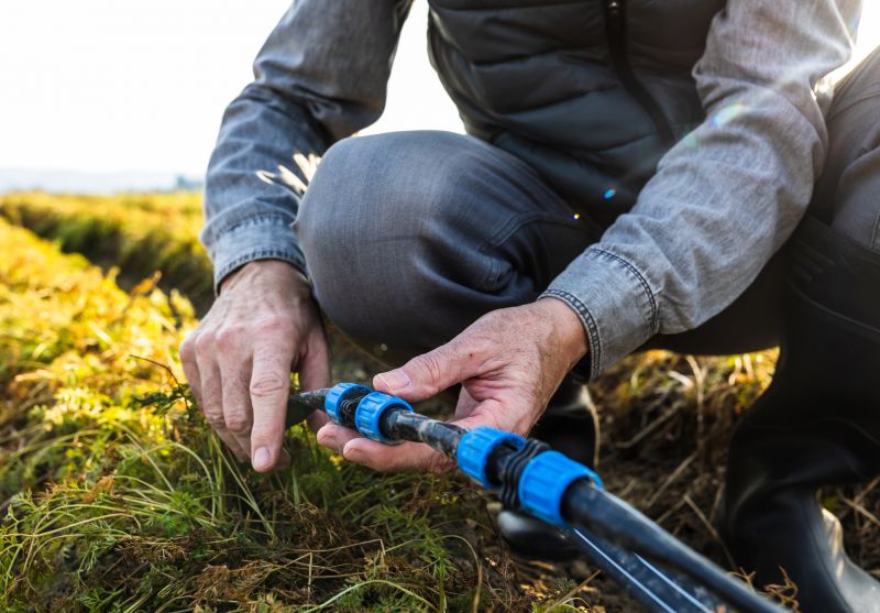 Seasonal Maintenance