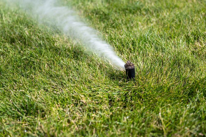 Specialized Sprinkler Service Providers